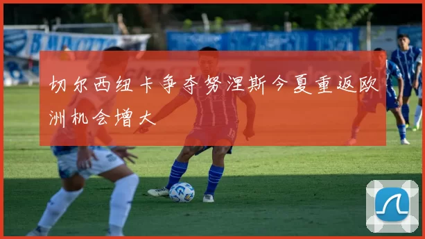 切尔西纽卡争夺努涅斯今夏重返欧洲机会增大