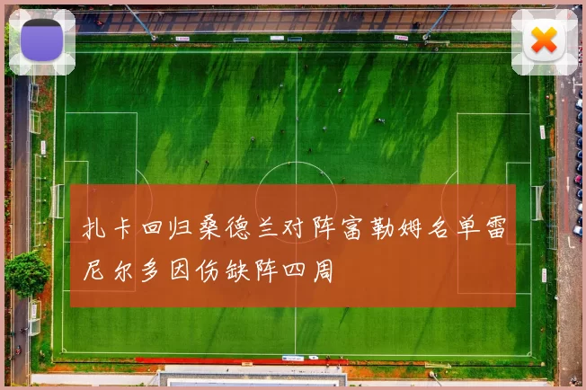 扎卡回归桑德兰对阵富勒姆名单雷尼尔多因伤缺阵四周