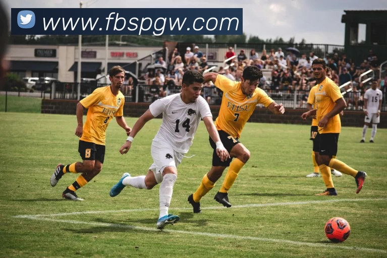 FB体育官网发展历程